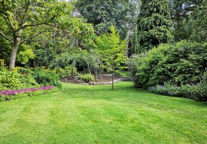 Optimiser l'expérience du jardin à Montbrison